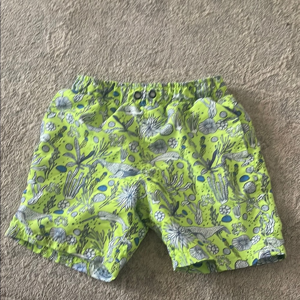 Vibrant Green Patterned Shorts